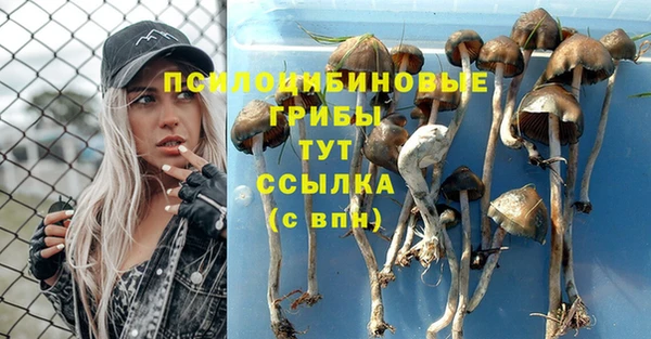 прущая мука Абаза