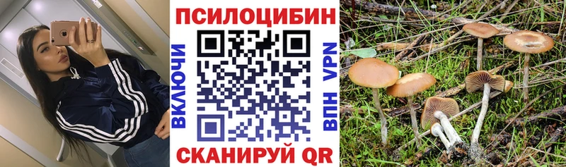 даркнет сайт  Старый Крым  Галлюциногенные грибы прущие грибы 